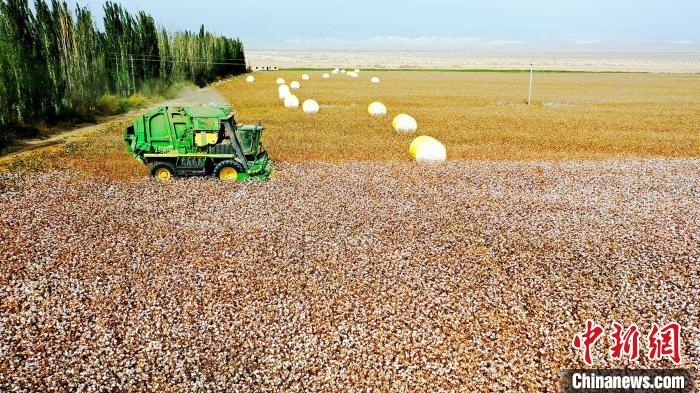 近年來，當(dāng)?shù)孛藁ǚN植戶的生產(chǎn)生活發(fā)生了翻天覆地的變化?！《?攝