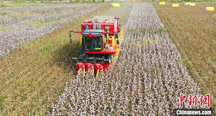 采棉機(jī)正在采收棉花，猶如在五線譜上跳動的音符，正在演奏豐收的樂章?！∷谓?攝