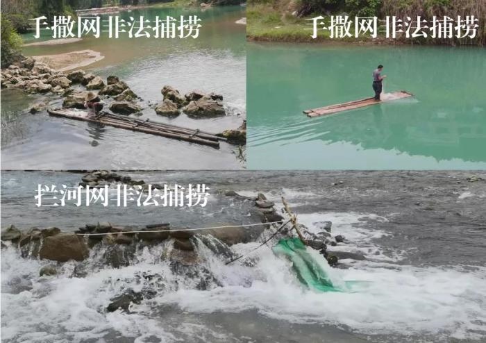 2021年9—10月，前期暗查發(fā)現(xiàn)，保護(hù)區(qū)核心區(qū)內(nèi)非法捕撈行為十分猖獗