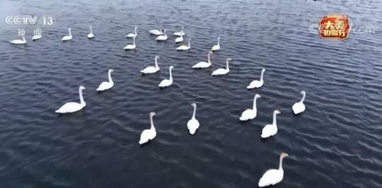 點擊進入下一頁