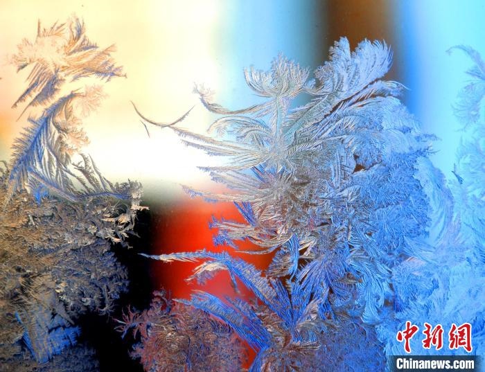 冰窗花千姿百態(tài)。　孫書程 攝