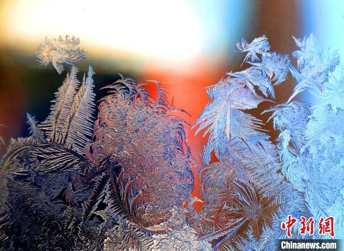 惟妙惟肖的冰窗花，似一幅風(fēng)景畫?！O書程 攝