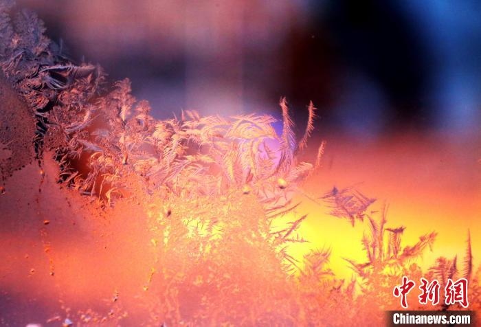 迎著光亮，冰窗花絢麗多姿。　孫書程 攝