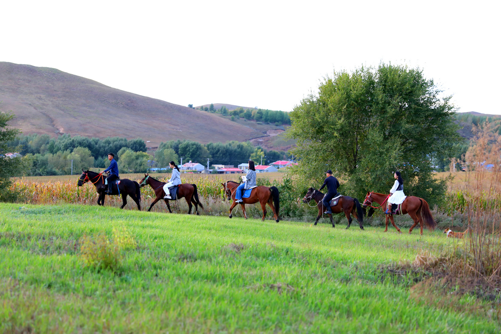 輝煌“十四五”奮進的答卷 ∣ 葛根廟鎮(zhèn)開啟“重走騎兵路”紅色主題騎行線路