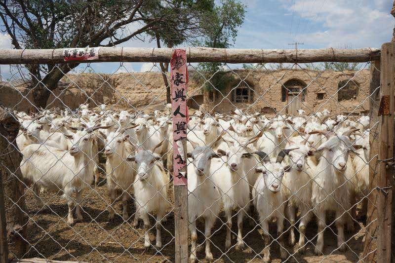 1594200381318292.jpg 微信圖片_20200708172606.jpg