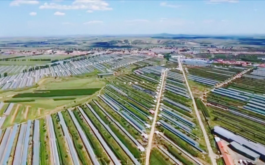 1597161112540231.jpg 微信圖片_20200811234618.jpg