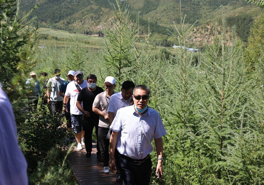 1597161331318206.jpg 7O5A0827.JPG