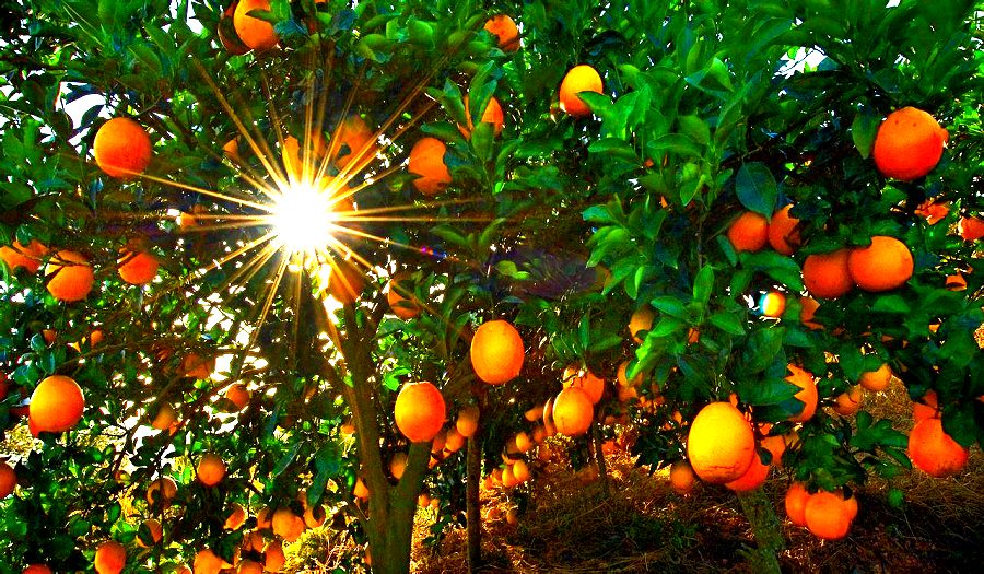 1609677772863561.png 圖片2.png