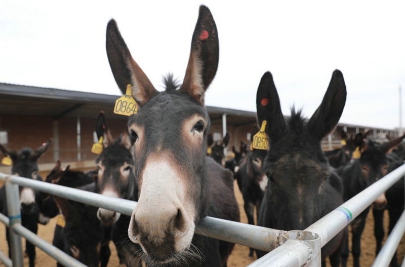 1649229756225615.jpg 624d3d44ly1gk0g3g0cpoj20qo0iawge (1).jpg