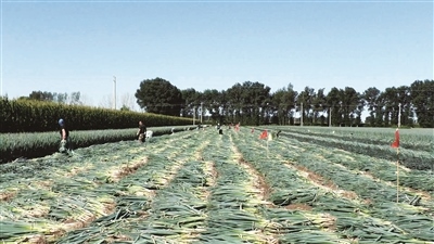 1665906281115837.jpg 00300589515_eeb73ed3.jpg