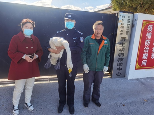 1666602996993216.png 圖片3_副本.png