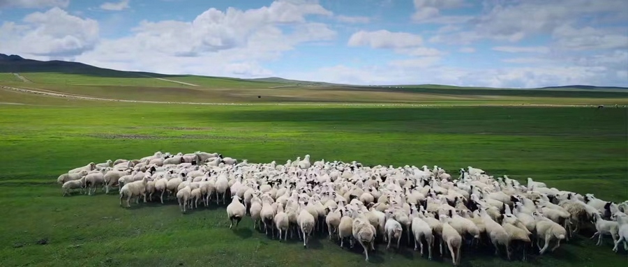 1667994441101034.jpg 微信圖片_20221109194024.jpg