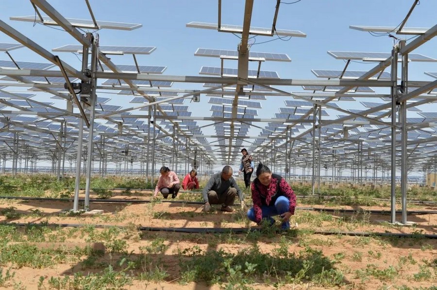 1677149053823542.png 圖片1.png