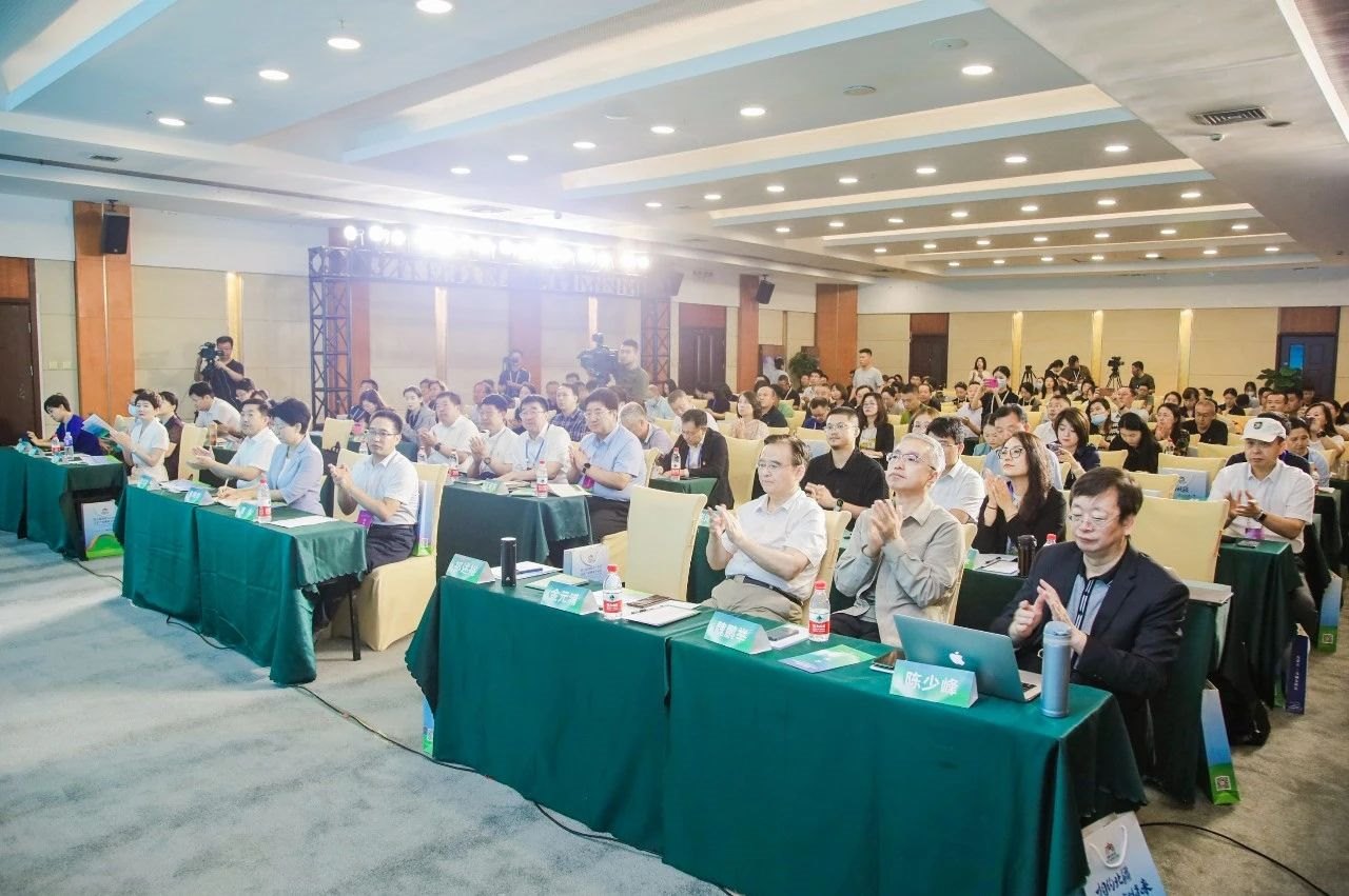 1689348259515477.jpeg 1689348259515477.jpeg