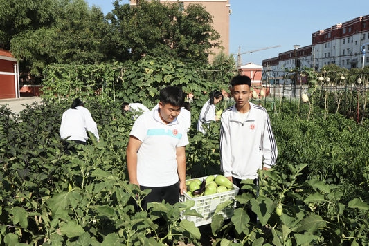 1694593863858096.jpg 6.jpg