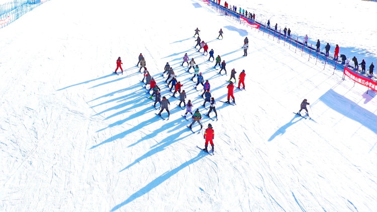 1700097985123948.jpg _O6I0394.JPG