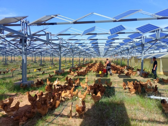 1701496571348600.png 蒙西基地200萬(wàn)千瓦光伏治沙項(xiàng)目并網(wǎng)1202740.png