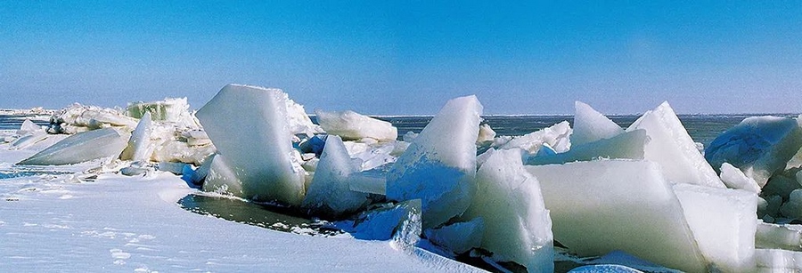 1703777265300361.png 圖片9.png