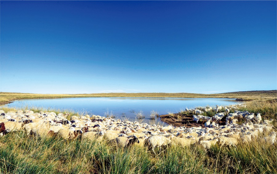 1704360665965676.png 圖片4.png