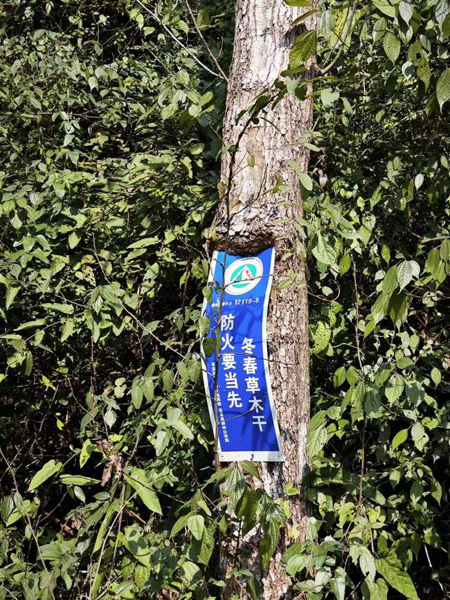 1708352616111284.jpg 路邊的防火宣傳標(biāo)語.jpg