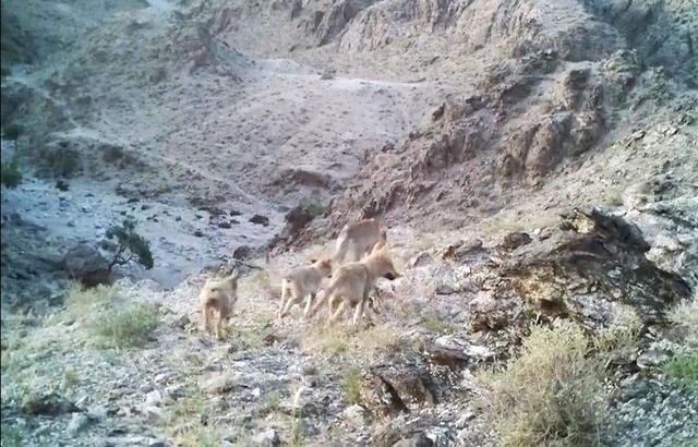 1711009252348686.jpg DM_20240321161950_001.jpg