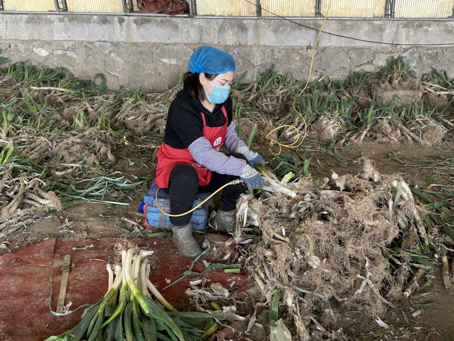 1712636339872383.jpg 640 (1).jpg