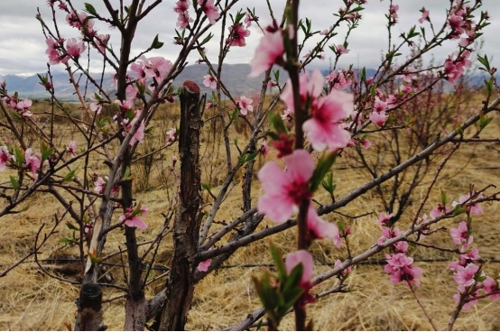 1713783754119253.png 第55個(gè)世界地球日2400.png