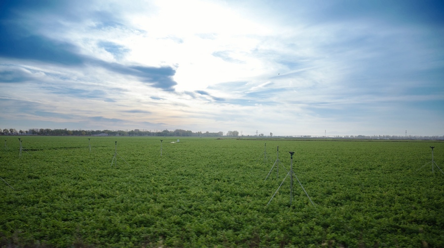 1730958221365253.jpeg WechatIMG4645.jpeg