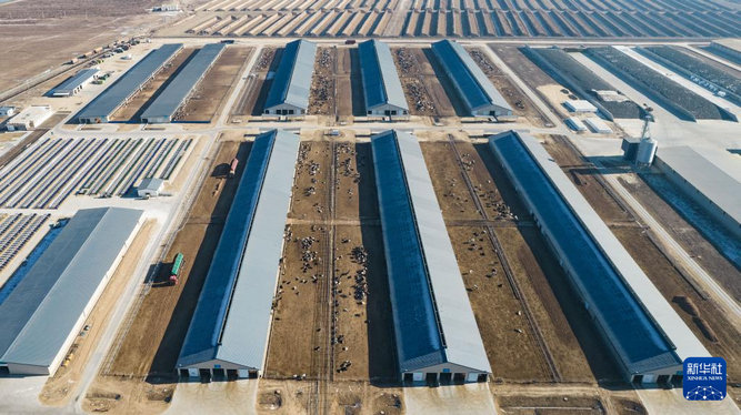 1734939635541899.jpg 智慧牧場(chǎng).jpg