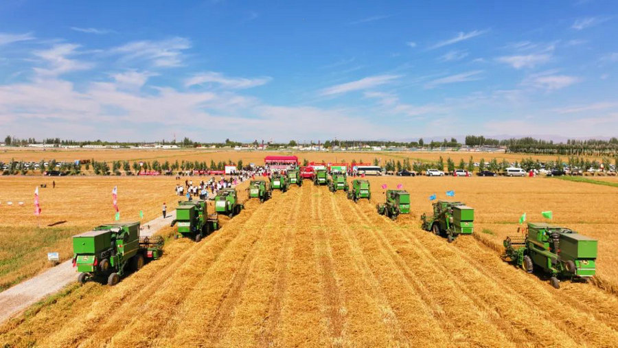 1736740593537983.jpg _DSC2271.JPG