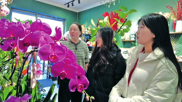 1737530005475630.jpg 花.jpg