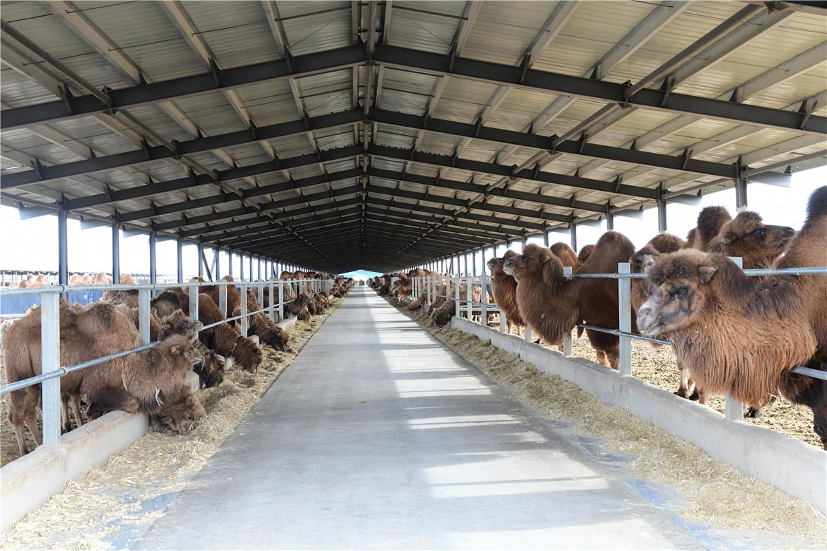 1740013584833009.jpg 00300830484_44e5cfbc.jpg