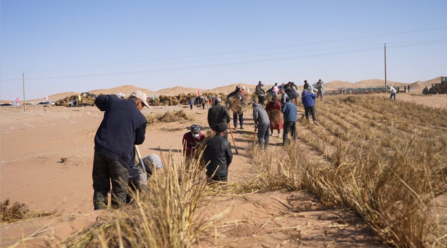 1740972783105044.png 2.png