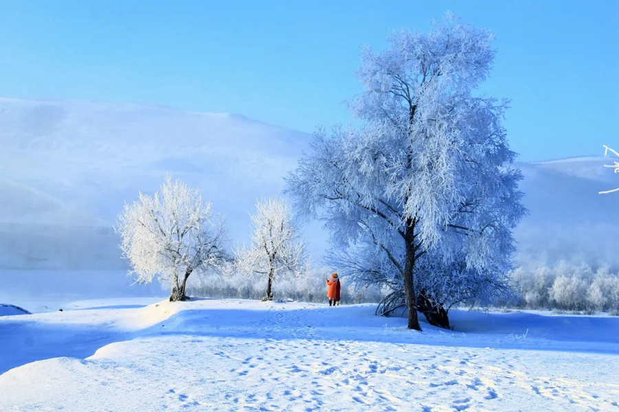 1742200871812612.png 01e87609dc7bf9a79d080c384c81fa53.png