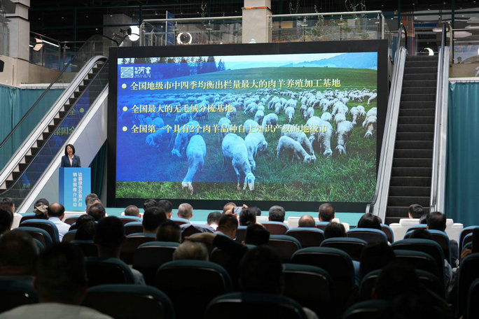 1748568043863303.jpg 邊疆3.jpg