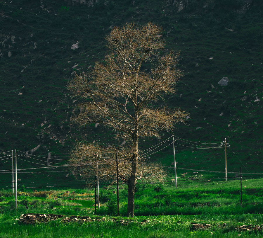 1749018359201991.jpg 微信圖片_20240709105936.jpg