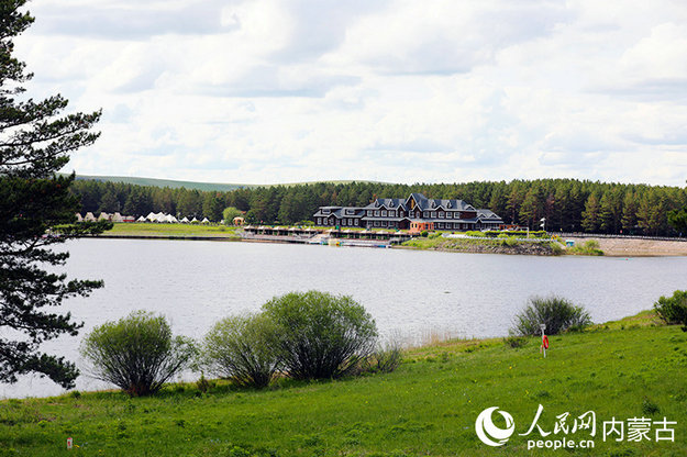 1752799972136273.jpg 松子2.jpg