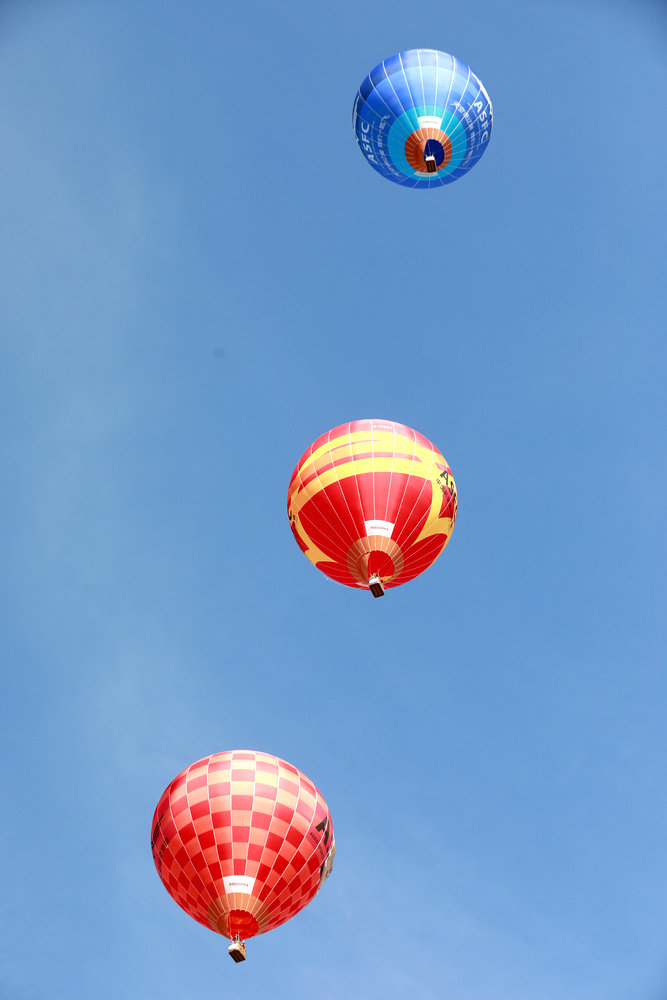 1752806455127008.jpg _O5A2966.JPG