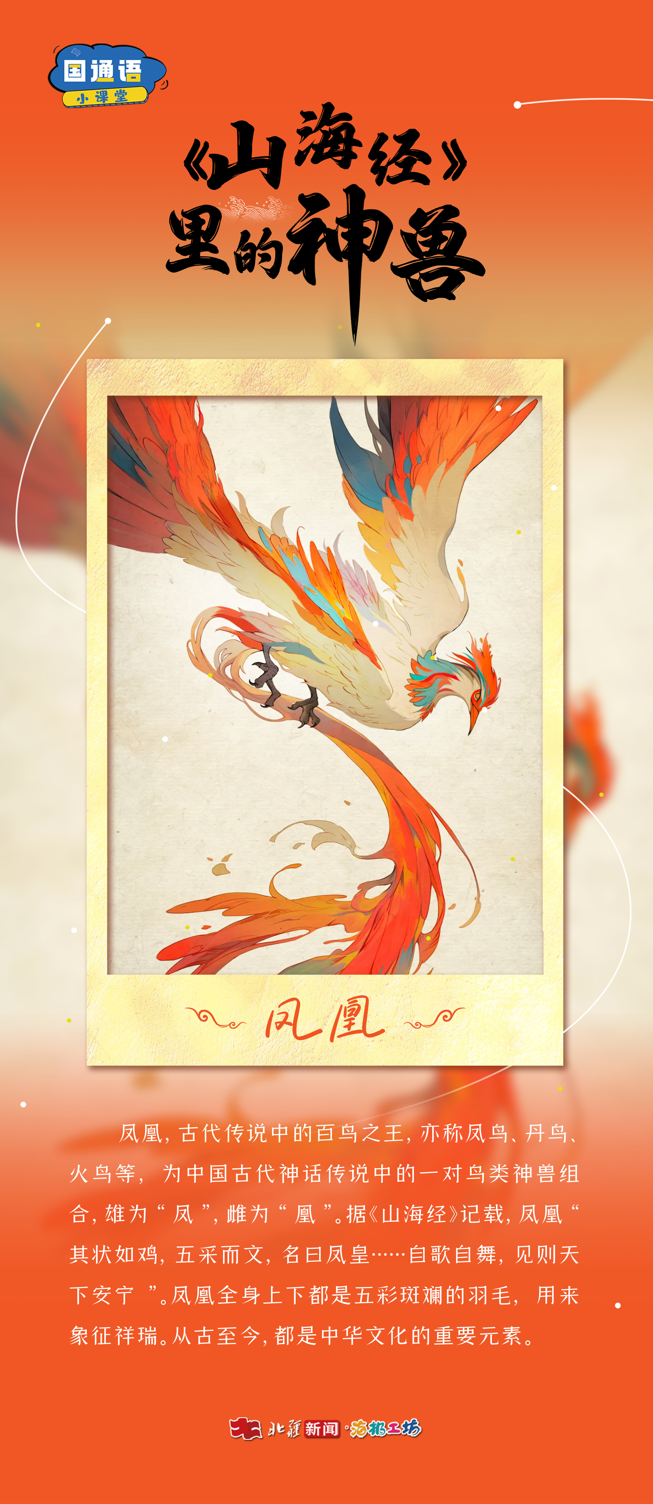 1768554631978886.jpg _DSC3208.jpg