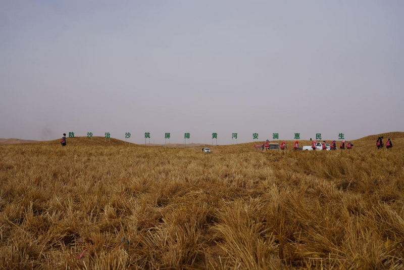 1772265227764459.png 阿拉善活動(dòng)現(xiàn)場1.png