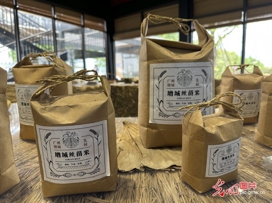 【高質(zhì)量發(fā)展看中國(guó)】5G智慧農(nóng)業(yè) 種出高質(zhì)量好味“稻”