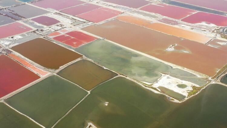 鑒往知來，跟著總書記學(xué)歷史丨走進(jìn)一座博物館，尋根五千年中華文明