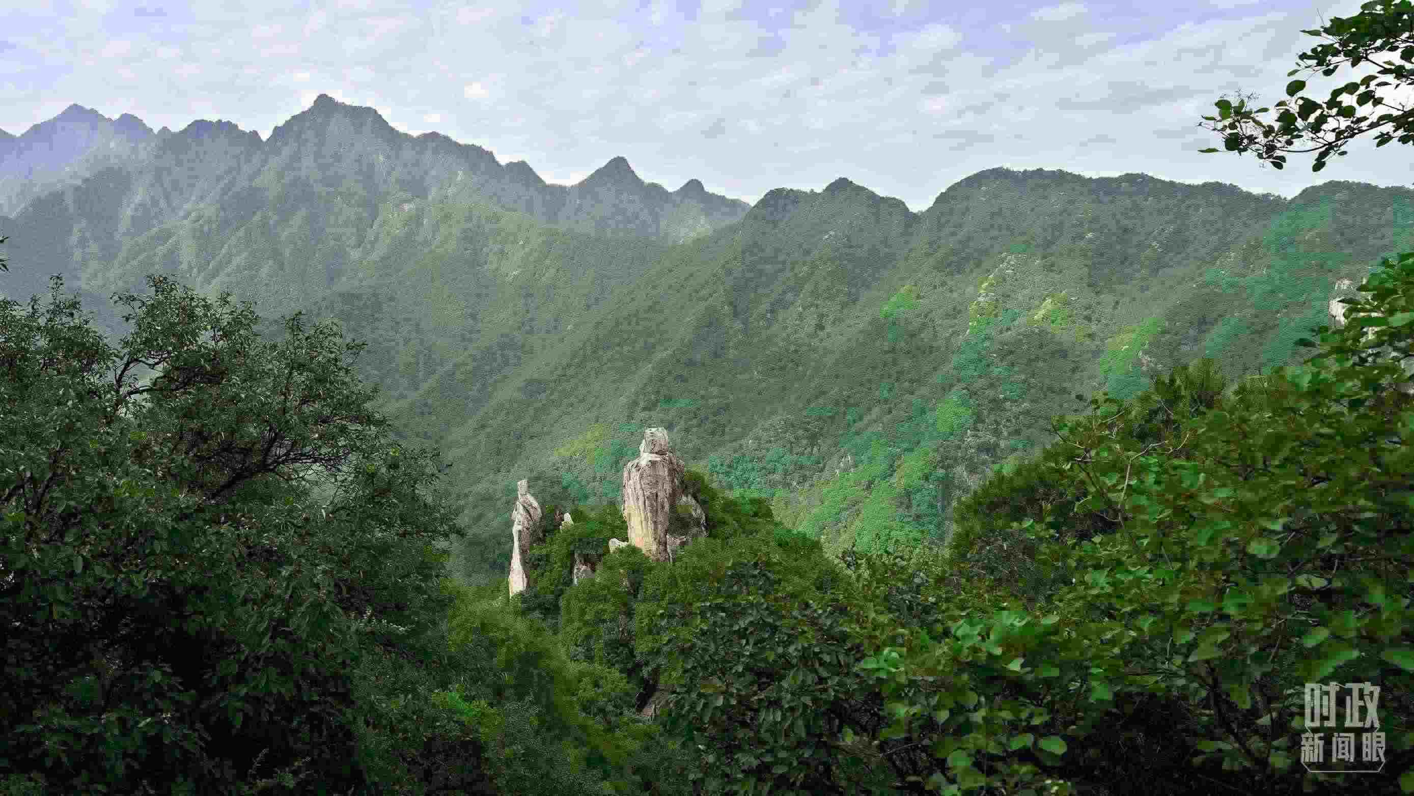 △秦嶺。（圖／視覺中國）