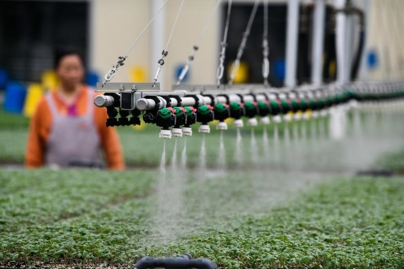 工人在貴陽(yáng)市開(kāi)陽(yáng)縣楠木渡蔬菜良種繁育中心查看自動(dòng)噴灌系統(tǒng)給辣椒苗澆水情況（2023年5月24日攝）。新華社記者 楊文斌 攝
