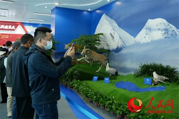 6月17日，觀眾正在觀展。人民網(wǎng) 韋衍行攝