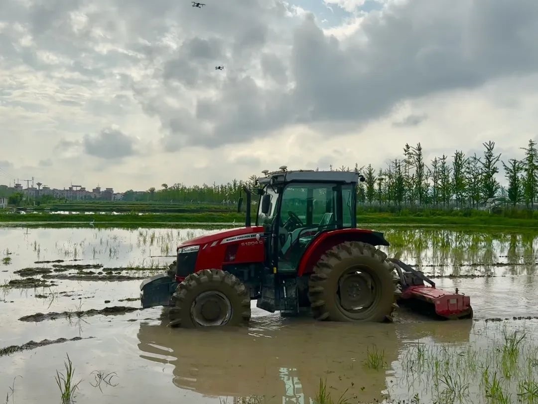 浙江省金華市東陽市城東街道寀盧村的一臺(tái)無人駕駛耕地機(jī)。靜玄 攝