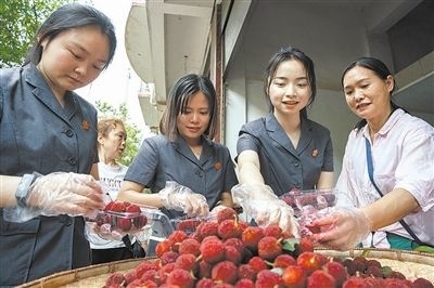 志愿者和村民一起將摘下的楊梅裝進(jìn)食品盒里。