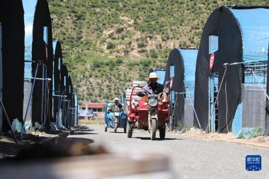 7月29日，農(nóng)戶在卓尼縣納浪鎮(zhèn)納浪村黑木耳種植基地勞作。