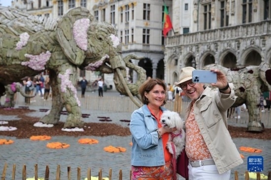 8月11日，觀眾在比利時(shí)布魯塞爾“鮮花時(shí)光”展覽上拍照。新華社記者 趙丁喆攝