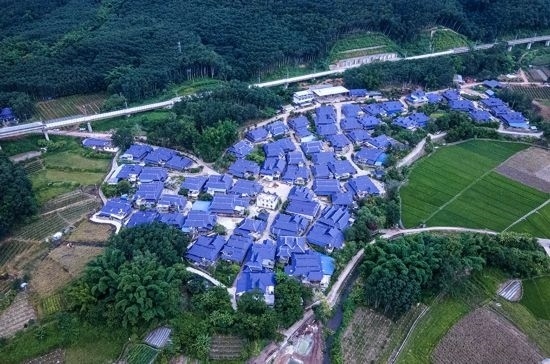 磨憨鎮(zhèn)曼莊村大龍哈小組現(xiàn)代化邊境幸福村新貌。人民網(wǎng)記者 符皓攝